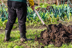 生物有機(jī)肥發(fā)酵腐熟劑